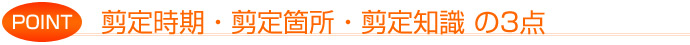 剪定時期・剪定箇所・剪定知識